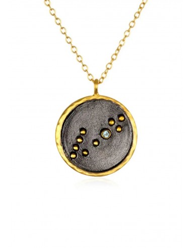 Zodiac Necklace - Pisces france