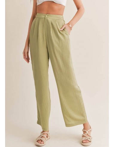 Juicy Pleated Pants - Sage Mint Pour